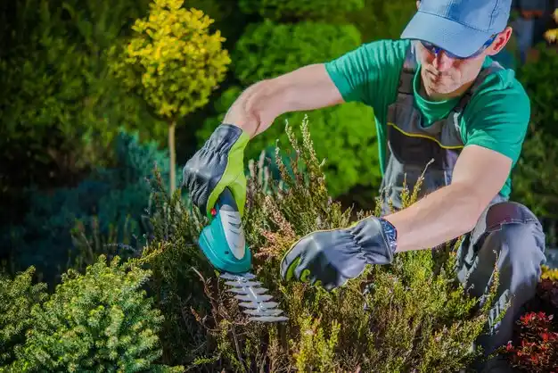 landscaping services Harveysburg